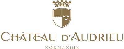 CHATEAU D'AUDRIEU